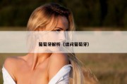 葡萄牙解析（请问葡萄牙）