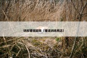 训练错误回放（错误训练概念）