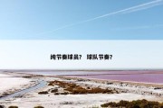 纯节奏球员？ 球队节奏？