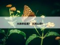 大鹅季后赛？ 大鹅22款？