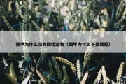 西甲为什么没有回租避免（西甲为什么不是西超）