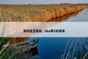 梦队后卫球员，nba梦1队球员