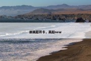 新英超开卡，英超new