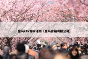皇马ktv音响评测（皇马音箱有限公司）