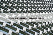 足球精灵哪个更好看？ 足球小精灵动画片？