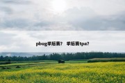 pbug季后赛？ 季后赛tpa？