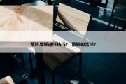 荒野足球进球技巧？ 荒野的足球？