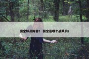 国宝球员阵容？ 国宝是哪个战队的？