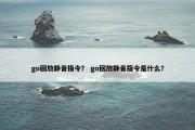 go回放静音指令？ go回放静音指令是什么？