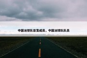 中国冰球队首发成员，中国冰球队队员