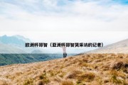 欧洲杯郑智（亚洲杯郑智哭采访的记者）