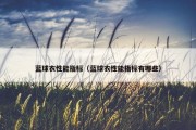 蓝球衣性能指标（蓝球衣性能指标有哪些）