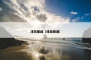 球员张成（球员张诚）