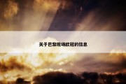 关于巴黎现场欧冠的信息