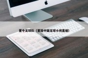 董中足球队（董路中国足球小将直播）