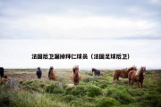 法国后卫漏掉拜仁球员（法国足球后卫）