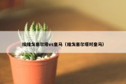 埃维戈塞尔塔vs皇马（维戈塞尔塔对皇马）