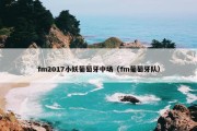 fm2017小妖葡萄牙中场（fm葡萄牙队）