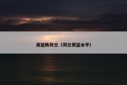 男篮阵荷兰（荷兰男篮水平）