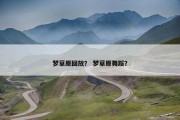 梦草原回放？ 梦草原舞蹈？