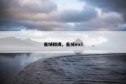 曼城相拥，曼城mci