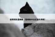 拯救球队詹姆斯（詹姆斯中文纪录片救赎）