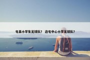 屯昌小学生足球队？ 边屯中心小学足球队？
