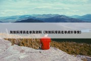 灰熊队球员名单及资料（灰熊队球员名单虎扑体育）