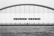 印度足球老帅谁（印度足球巨星）