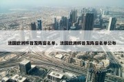 法国欧洲杯首发阵容名单，法国欧洲杯首发阵容名单公布