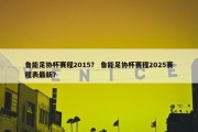 鲁能足协杯赛程2015？ 鲁能足协杯赛程2025赛程表最新？