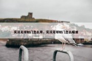 实况足球射门怎么用，实况足球射门怎么瞄准