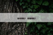 低劣球队？ 劣等球队？