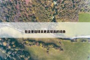 包含更佳球员更高球员的词条