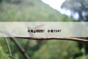 小鬼gt回放？ 小鬼724？