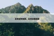 足球进球摇旗，足球边裁摇旗