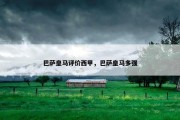 巴萨皇马评价西甲，巴萨皇马多强