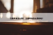 江西甲鱼怎么熬？ 江西甲鱼怎么熬好吃？