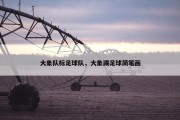 大象队标足球队，大象踢足球简笔画