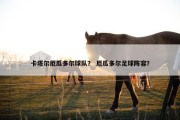 卡塔尔厄瓜多尔球队？ 厄瓜多尔足球阵容？