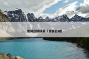 清河台球球员（青县台球）