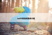 swift球员的简单介绍
