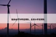 延庆永宁小学足球队，北京小学足球队