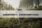 欧洲杯西班牙踢哪个队（欧洲杯西班牙踢哪个队的球员）