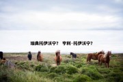 瑞典托伊沃宁？ 亨利·托伊沃宁？