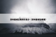 深圳曼城公寓房价多少（深圳曼城在哪里）