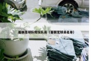 曼联足球队现役队员（曼联足球员名单）