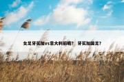 女足牙买加vs意大利前瞻？ 牙买加国足？