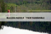 泰达足球队中超球队吗（中超惹不起保级的泰达）