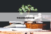 平房足球队的简单介绍